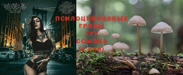 mdpv Зеленокумск