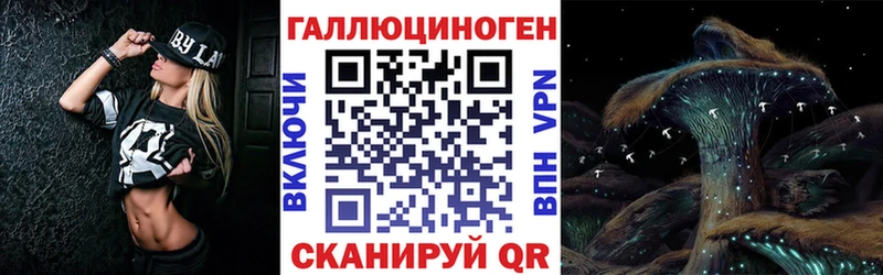 Псилоцибиновые грибы GOLDEN TEACHER  Купить где  Любань 